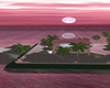 praiarosa