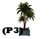 (P3)Upscale Plant