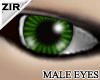 {Zir}Smart Green eyes8