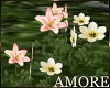Amore Spring Flowers
