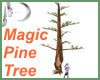 Pine Tree Animated