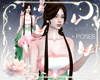 !A| Butterflies + poses