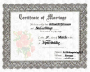 marriage certificate1