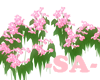 -SA-Pink Flowers