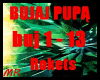 BUJAJ PUPĄ
