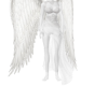 sexy angel