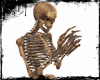 IO-Skeletal Avatar