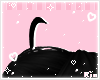 ♡ Ahoge black