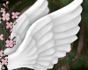 ! angel wings white <33