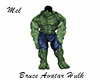 Bruce Avatar Hulk