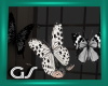 GS Black White Butterfly