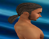 Sexy Brown Ponytail Mens