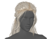 Platinum Warrior