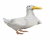 JUST DUCKY PET