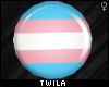 ☾ Trans Pride Plugs