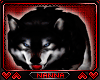 ♥N♥ Siberian Wolf