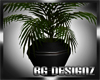 [BGD]Big Fern