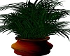 PC Potted Plant