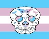 Pride Trans Skull Pic