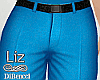 Turquoise Pants