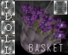 Crocus Basket :i: Purple
