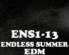 END-ENDLESS SUMMER