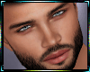 Realistic Head