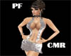 PF Silver party Dress