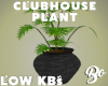 *BO PLANT CLUBHOUSE 4