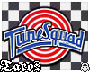 求| Tune Squad