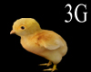 !3G Yellow baby chick