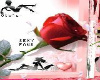 oto rose romantic logo