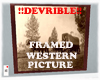 WESTERN FRAMED PICTURE