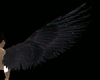 ANIMATED WING(BLACK)