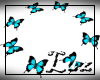 SpinTheBottle-Butterfly-
