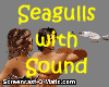 ! Seagulls with sound