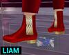 𝐋™ Luxury Red Shoes