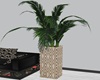 ~SL~ BM Tall Plant