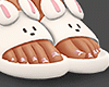 🥿Slipprs Bunny