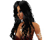 pam  blk 00