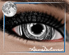 |AD| Carnivale Eyes