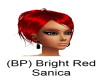(BP) Bright Red Sanica