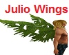JULIO'S WINGS 