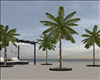 ! Modern Palm set x4