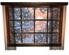 Animated Winter Window