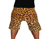 Cheetah Shorts