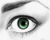 Green grey eyes
