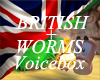 MALE BRITISH + WORMS VB