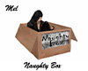Naughty Box