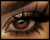 Rose Nude Smoke Eyes